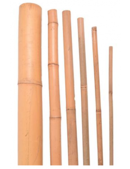Bambusová tyč 150cm / 10-12mm