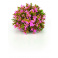 biOrb Topiary Ball - Pink 5cm