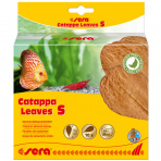 Catappa Leaves 10 ks S