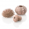 biOrb sea urchins set natural