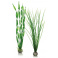 biOrb Plant Pack set zelené 39 cm