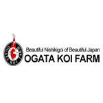 Ogata Koi Farm