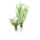biorb Winter Flower zelené 29 cm