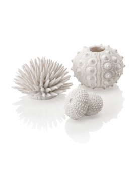 biOrb sea urchins set biely