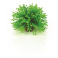 biOrb Topiary Ball - Green 5cm