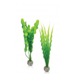 biOrb Plant Pack set M zelené 29 cm