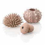 biOrb sea urchins set natural