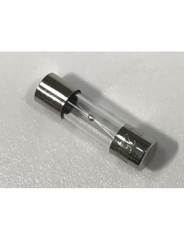 14368 Fuse T 2.0 A