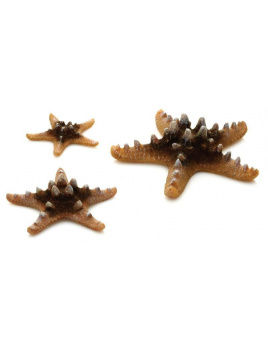 biOrb Sea Stars set prírodná 10, 8 a 5 cm