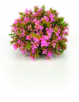 biOrb Topiary Ball - Pink 5cm