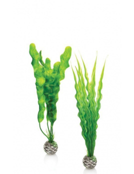biOrb Plant Pack set M zelené 29 cm