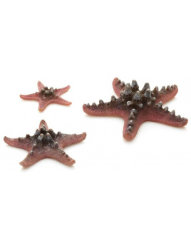 biOrb Sea Stars set rúžová 10, 8 a 5 cm