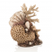 biOrb coral-shells ornament natural 22 cm