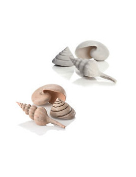 biOrb sea shells natural 13 cm, 6,5 cm, 9,5 cm