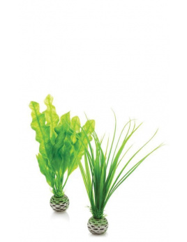 biOrb Plant Pack zelená set 20 cm