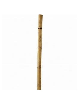 Bambusová tyč hrubá 210cm / 24-26mm
