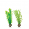 biOrb Green Feather Fern set zelené 20,5 cm