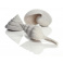 biOrb Sea Shells Decor set biele 12, 7, 5 cm