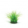 biOrb grass Ring zelená 15 cm