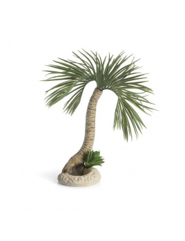 biOrb Palmový strom Seychelly L