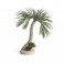 biOrb Palmový strom Seychelly L