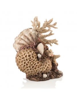 biOrb coral-shells ornament natural 22 cm