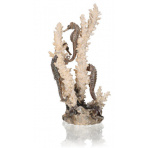 biOrb seahorses on coral natural M