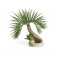 biOrb Palmový strom Seychelly S