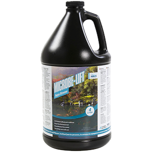 Úprava nitrátov, fosfátov, ťažkých kovov, amoniaku vo vode